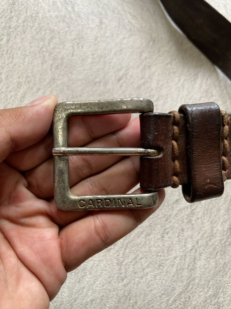 Belt cardinal, foto 3