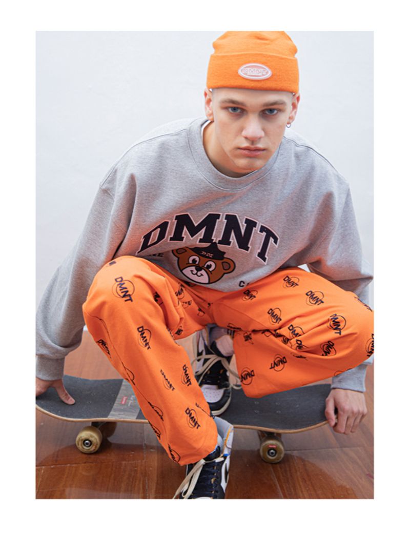 DOMINANT OVAL LOGO WIDE PANTS, foto 4
