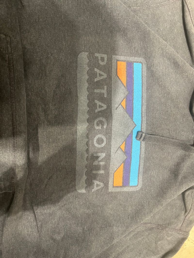 Pataogonia hoodie, foto 2