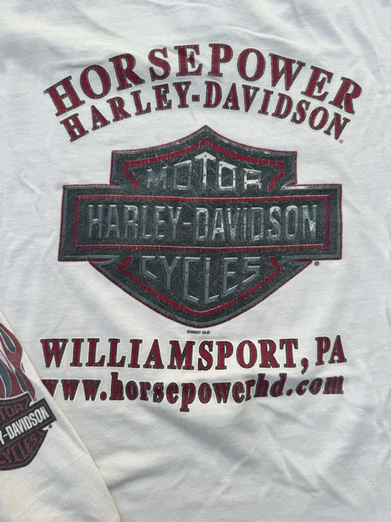Harley Davidson Horsepower, foto 6