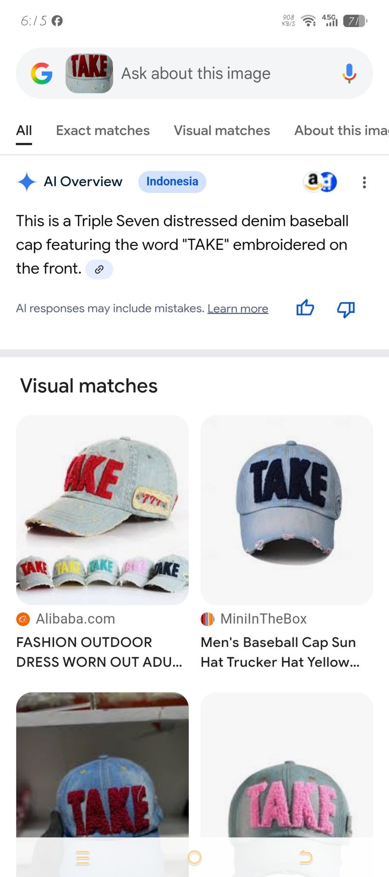 topi take, foto 2