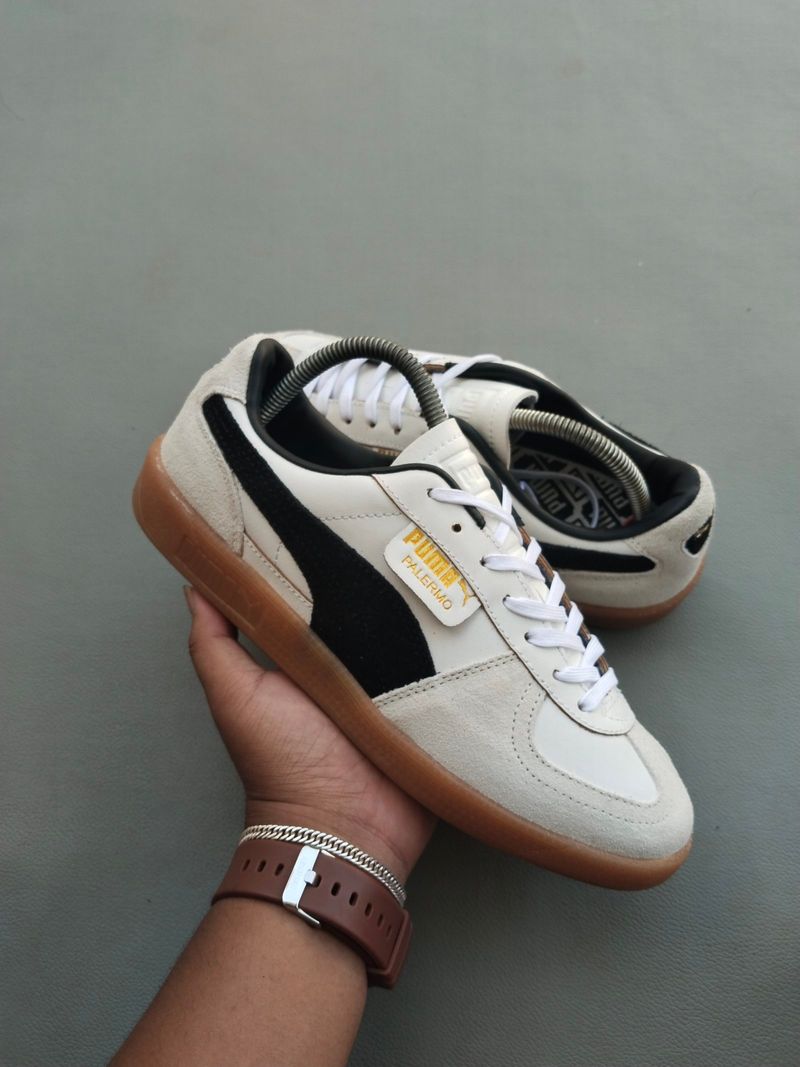 puma palermo, foto 2