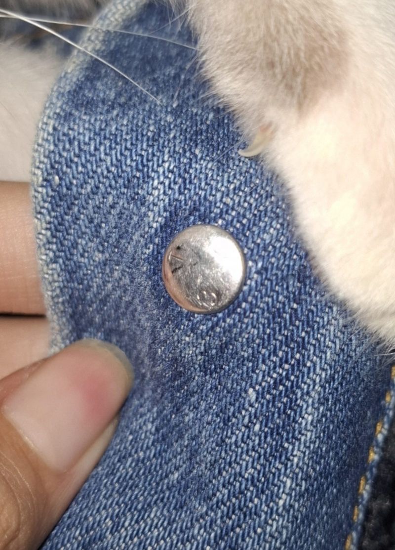 ​[RARE ITEM] Levi’s 70602-02 Blanket Lined Trucker Jacket., foto 6