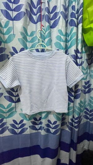 Kaos garis biru
