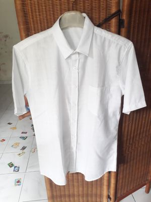 Kemeja pria