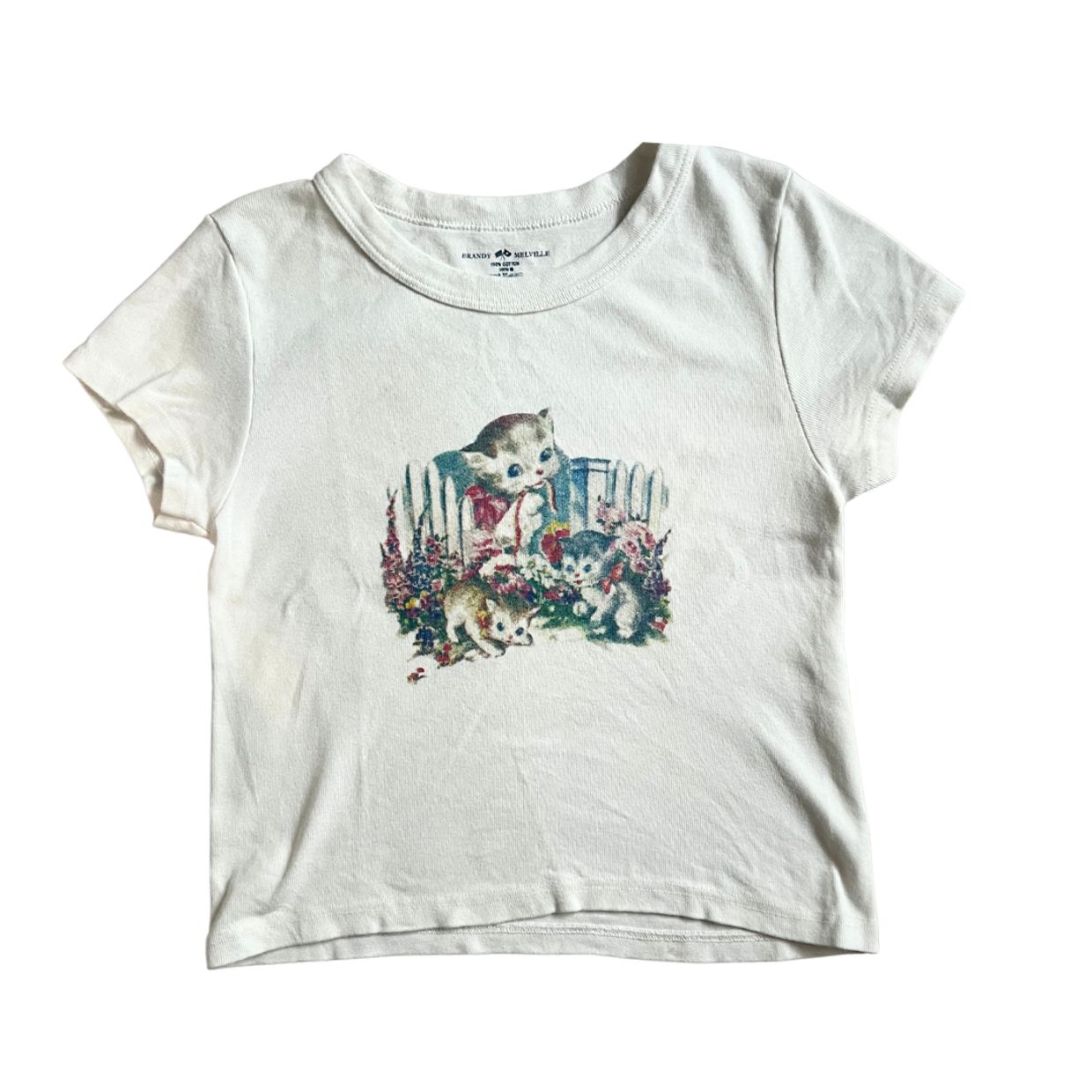 Brandy Melville Cottagecore Coquette Crop top Wanita white