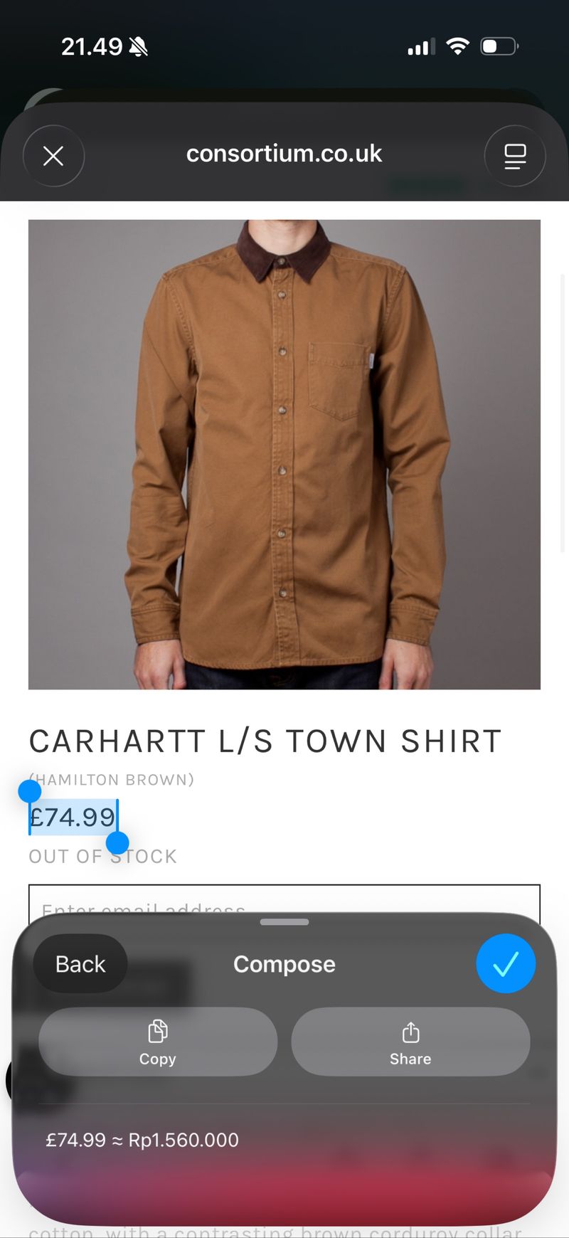 Carhartt Town Shirt, foto 6