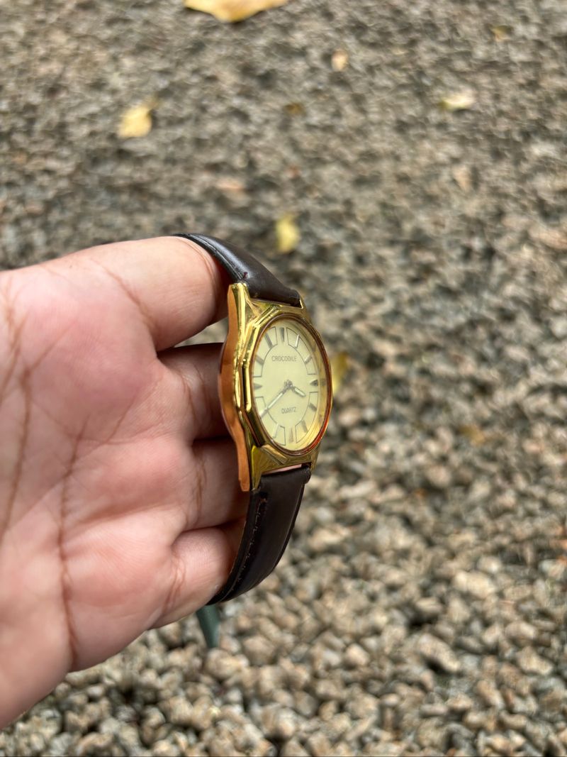JAM CROCODILE ANALOG VTG (3), foto 5