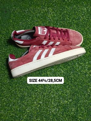 Adidas campus