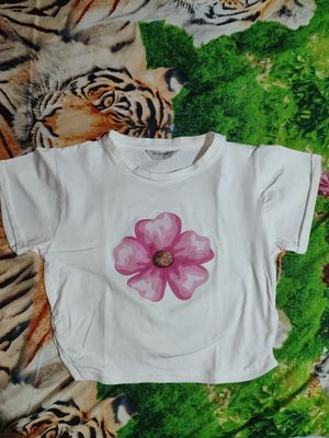 colorbox baju crop