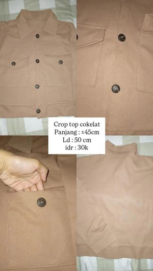 Crop Top lengan panjang