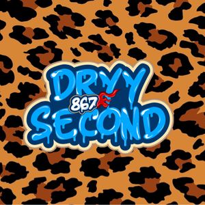 dryy.second867