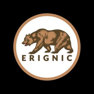 Erignic Store