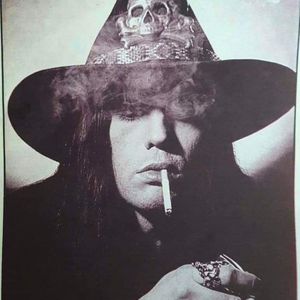 Wild Cowboy