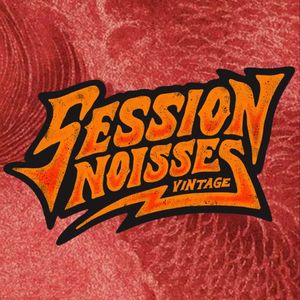 SESSION-NOISSES