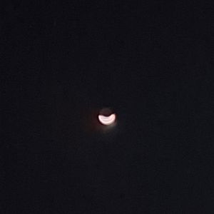 Moonlight