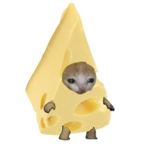 kucingkeju