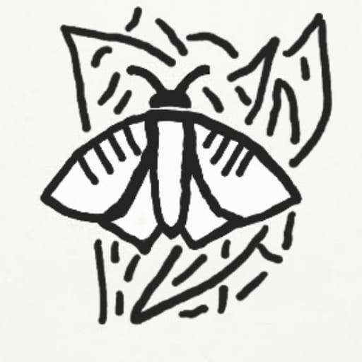 mothpbks