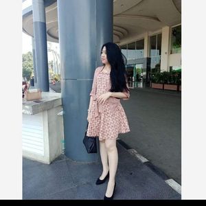 Stevaniaa