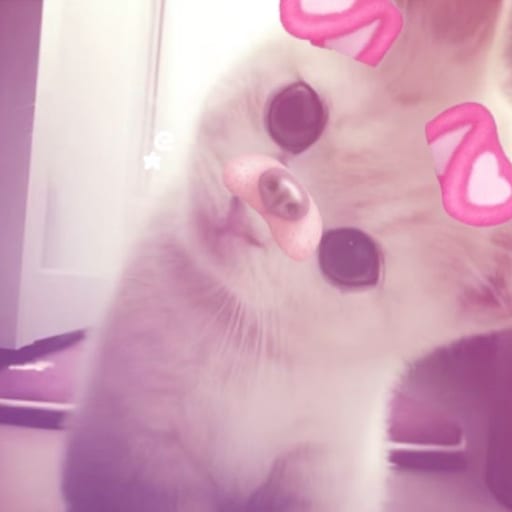 z0oooraaa
