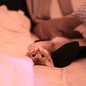 Bila