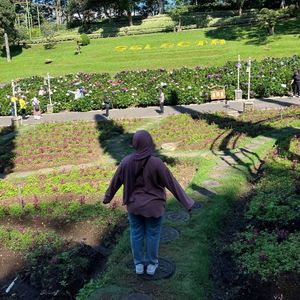 Arinda