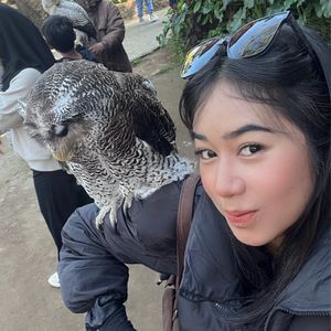 annisa