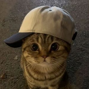 Andi