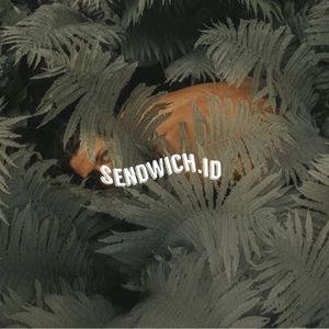 Sendwich id