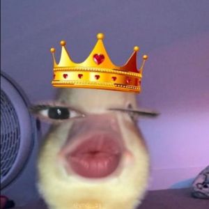 LUCIFEHRMORNSTAR