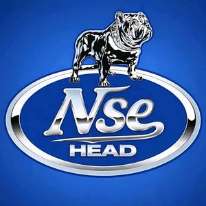 NSE HEADDVSN
