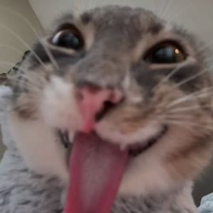 DoanSebastian 24