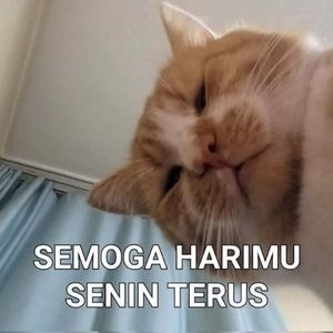 Rafly