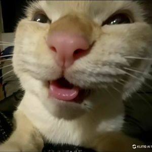 Skrrp