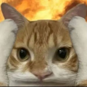 vonski