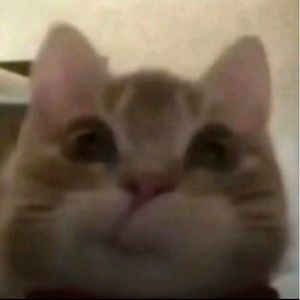 555