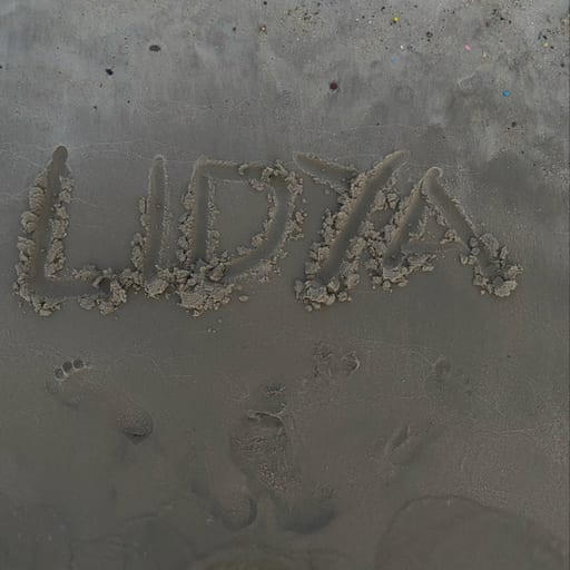 Lidya Paradita