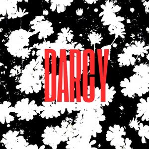 DARCYSTUFF