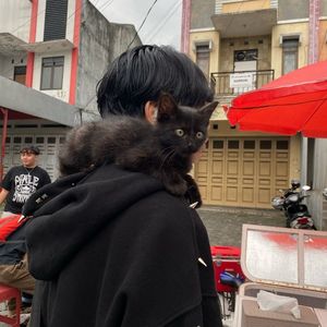 zacky febriansyah