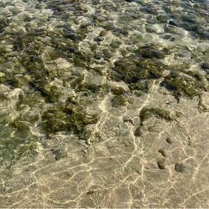 San