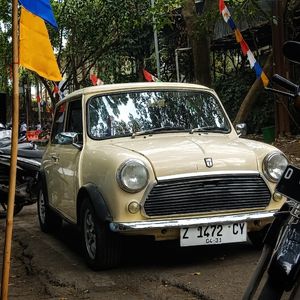 Ambatamal