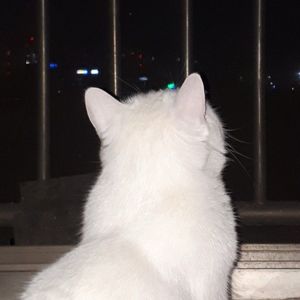 Nahgitudong