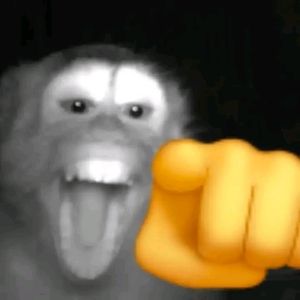 jsn