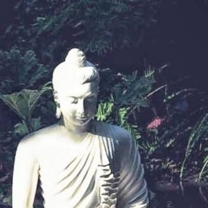 Dilo Pramana