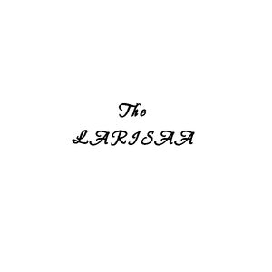 TheLarisaa