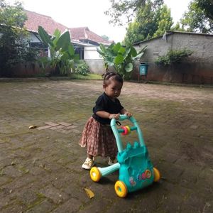 Anak Petani
