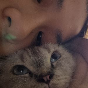 vLucky