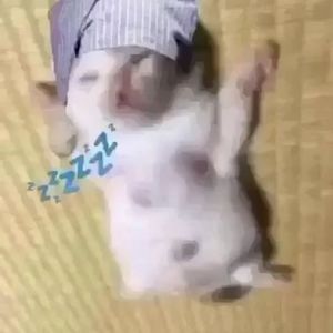 helsy