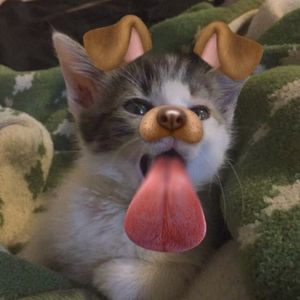 ray