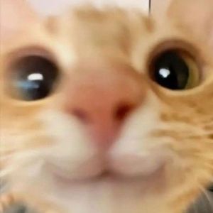nanaa